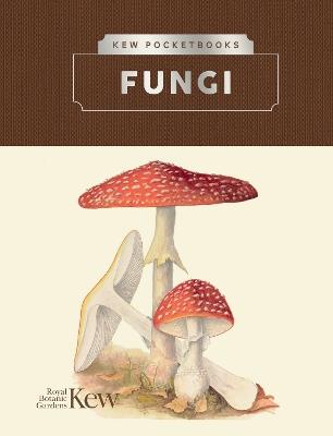 Kew Pocketbooks: Fungi - Royal Botanic Gardens Kew - cover