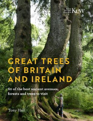 Great Trees of Britain and Ireland: Over 70 of the best ancient avenues, forests and trees to visit - Tony Hall - cover