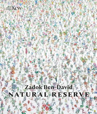 Natural Reserve - Zadok Ben-David - cover