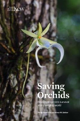 Saving Orchids: Stories of species survival in a changing world - Philip Seaton,Lawrence Zettler - cover