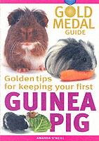 Guinea Pig: Gold Medal Guide - Amanda O'Neill - cover