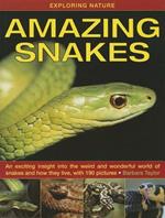 Exploring Nature: Amazing Snakes: an Exciting Insight into the Weird and Wonderful World of Snakes and How They Live, with 190 Pictures