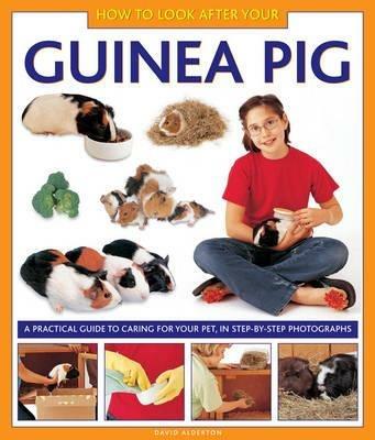 How to Look After Your Guinea Pig - David Alderton - cover