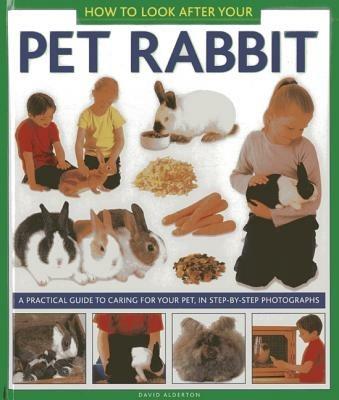 How to Look After Your Pet Rabbit - David Alderton - cover