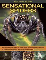 Exploring Nature: Sensational Spiders: A Comprehensive Guide to Some of the Most Intriguing Creatures in the Animal Kingdom, with Over 220 Pictures