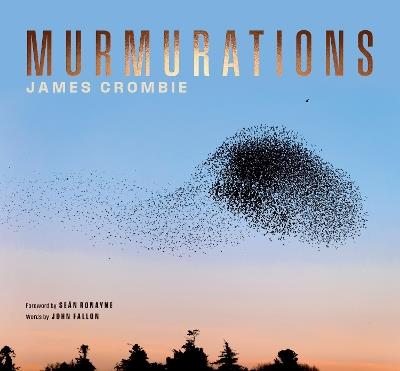 Murmurations - James Crombie - cover