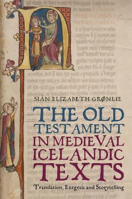 The Old Testament in Medieval Icelandic Texts: Translation, Exegesis and Storytelling - Siân E. Grønlie - cover