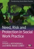 Need, Risk and Protection in Social Work Practice - cover