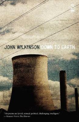 Down to Earth - John Wilkinson - cover