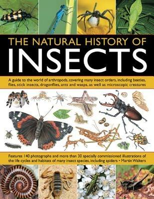 Natural History of Insects - Martin Walters - cover