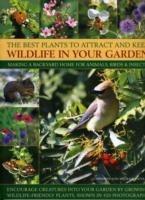 Best Plants to Attract and Keep Wildlife in the Garden