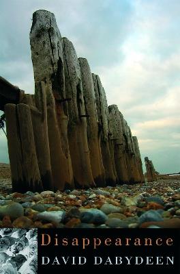 Disappearance - David Dabydeen - cover