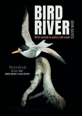 Bird River - John Davies - cover