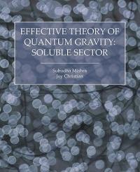 Effective Theory of Quantum Gravity: Soluble Sector - Subodha Mishra,Joy Christian - cover