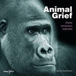Animal Grief: How Animals Mourn