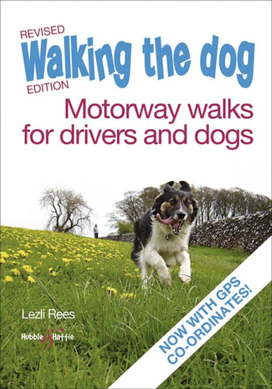 Walking the dog