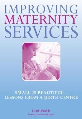 Improving Maternity Services: The Epidemiologically Based Needs Assessment Reviews, Vol 2 - Denis Walsh,Sheila Kitzinger,Norman Ellis - cover