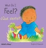 What Do I Feel? / ?Que siento?