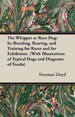 The Whippet or Race Dog: Its Breeding, Rearing, and Training for Races and for Exhibition. (With Illustrations of Typical Dogs and Diagrams of Tracks)