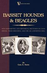 Basset Hounds and Beagles: with Descriptive and Historical Sketches on Each Breed, Their Breeding, and Use as a Sporting Dog