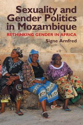 Sexuality and Gender Politics in Mozambique: Re-thinking Gender in Africa - Signe Arnfred - cover