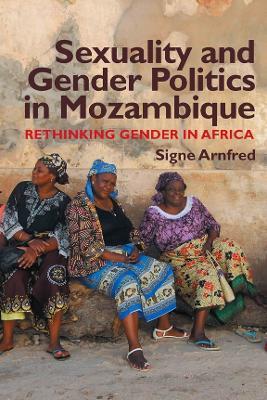 Sexuality and Gender Politics in Mozambique: Re-thinking Gender in Africa - Signe Arnfred - cover