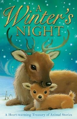 A Winter's Night - Various Authors - cover