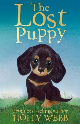 The Lost Puppy - Holly Webb - cover