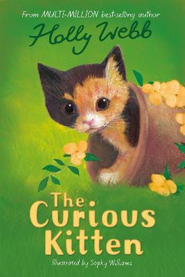 The Curious Kitten - Holly Webb - cover
