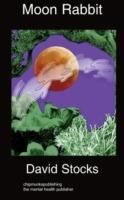 Moon Rabbit - David Stocks - cover