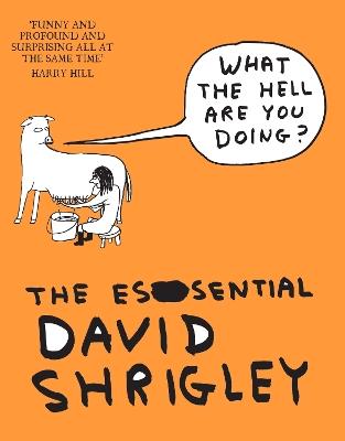 What The Hell Are You Doing?: The Essential David Shrigley - David Shrigley - cover
