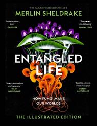 Entangled Life (The Illustrated Edition): A beautiful new gift edition featuring 100 illustrations for Christmas 2023