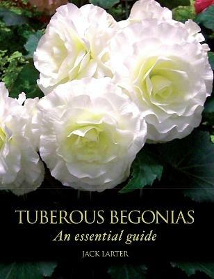 Tuberous Begonias: An Essential Guide - Jack Larter - cover