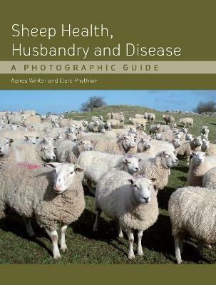 Sheep Health, Husbandry and Disease: A Photographic Guide - Agnes C Winter,Clare Phythian - cover