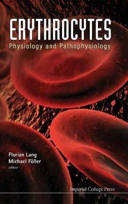Erythrocytes: Physiology And Pathophysiology - cover
