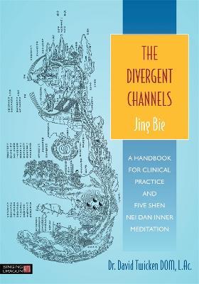 The Divergent Channels - Jing Bie: A Handbook for Clinical Practice and Five Shen Nei Dan Inner Meditation - David Twicken - cover