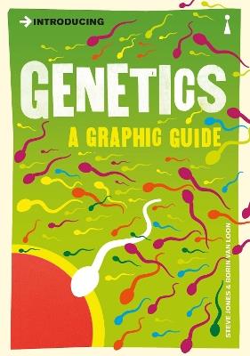 Introducing Genetics: A Graphic Guide - Steve Jones - cover
