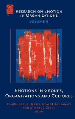 Emotions in Groups, Organizations and Cultures - cover