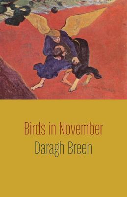 Birds in November - Daragh Breen - cover