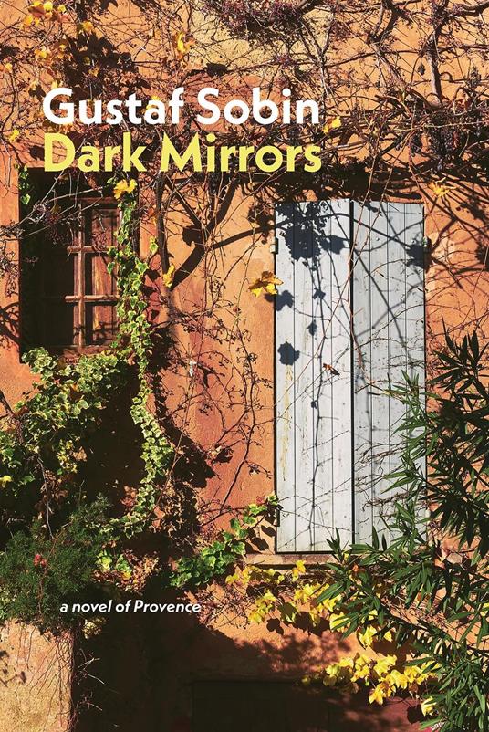 Dark Mirrors