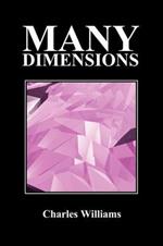 Many Dimensions (Paperback, New Ed.)