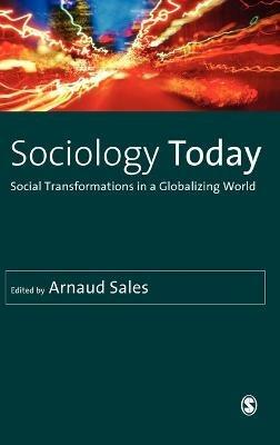 Sociology Today: Social Transformations in a Globalizing World - cover