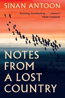 Notes from a Lost Country - Sinan Antoon - cover
