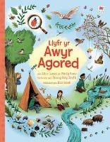 Llyfr yr Awyr Agored - Emily Bone - cover