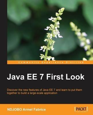 Java EE 7 First Look - Ndjobo Armel Fabrice - cover