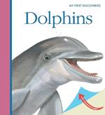 Dolphins