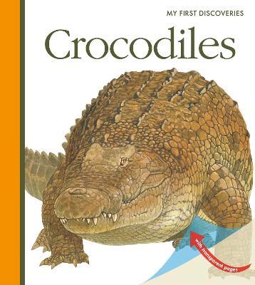 Crocodiles - Sylvaine Peyrols - cover
