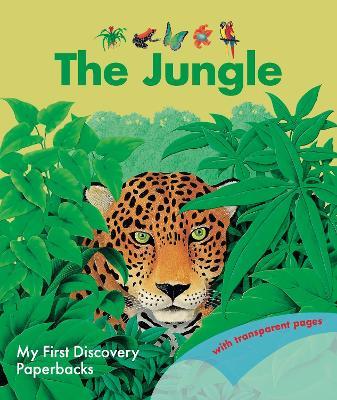 The Jungle - Rene Mettler - cover