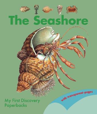 The Seashore - cover
