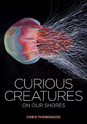 Curious Creatures on our Shores - Chris Thorogood - cover